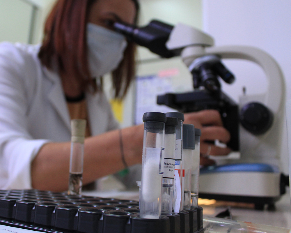 Novo laboratório de entomologia vai garantir uma análise mais eficiente das larvas do mosquito da Dengue